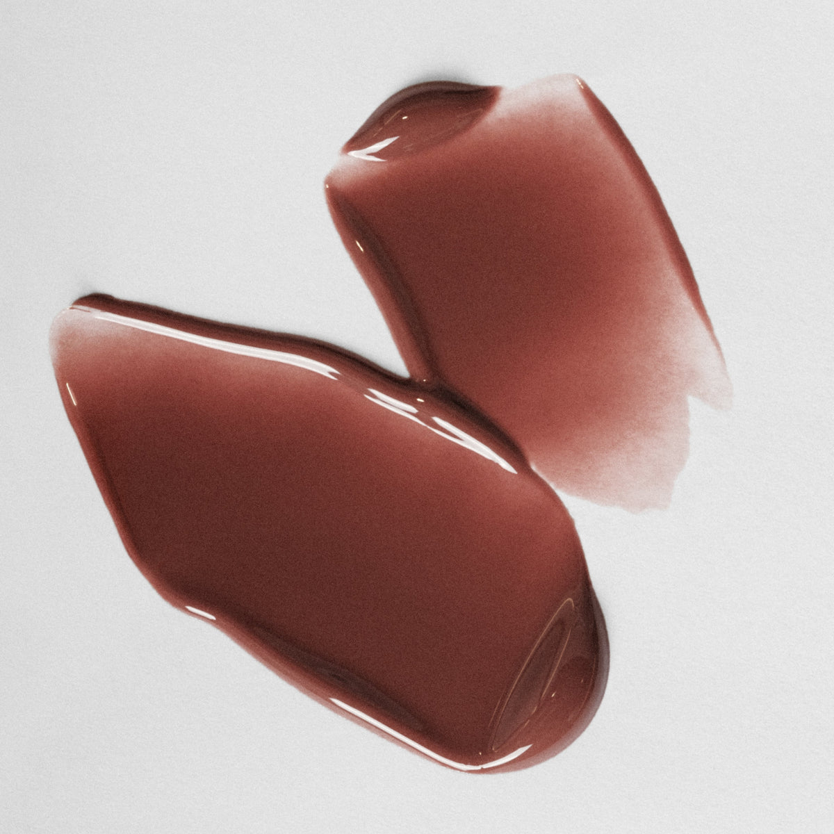 ÂN-GLOSS Ceramide Lip Treatment & Tint