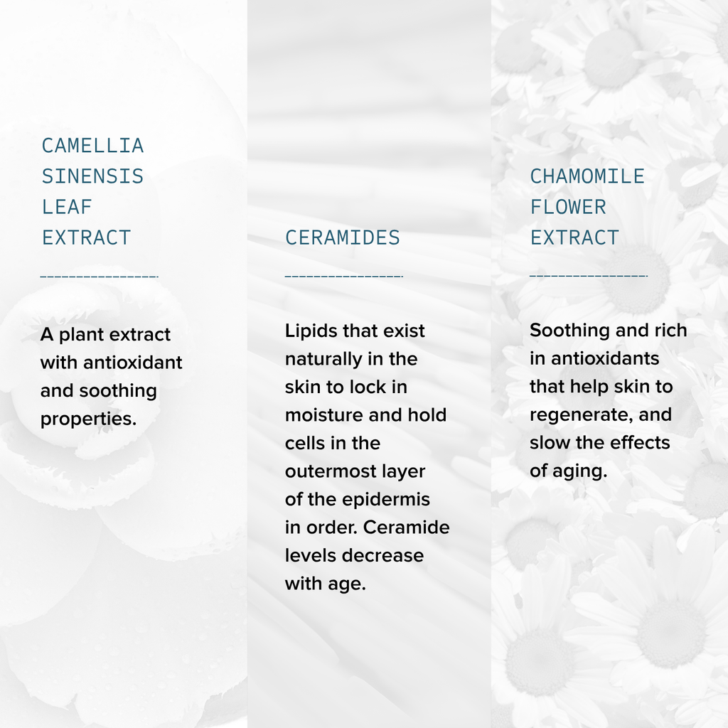 Gentle Foaming Cleanser